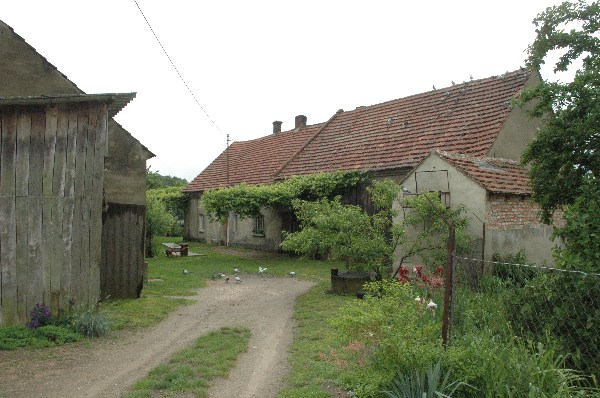 Polen10